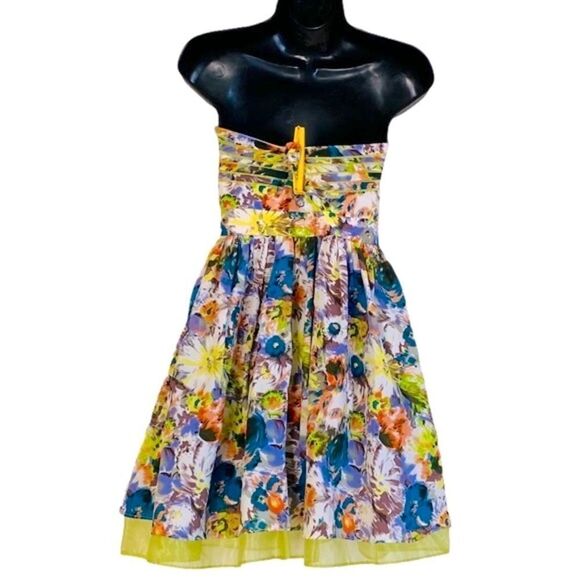 Minuet Floral Fit & Flare Floral Organza Tulle Petticoat Mini Dress Sz S NWT - Picture 2 of 9